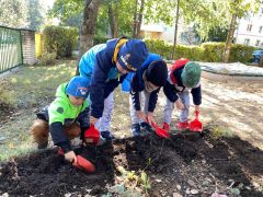 Dzieci sadzą tulipany