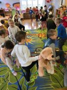 większy obrazek nr 24