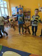 większy obrazek nr 49