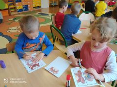 większy obrazek nr 53