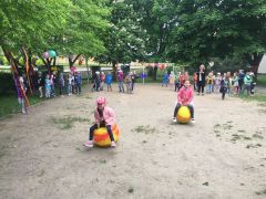 większy obrazek nr 6