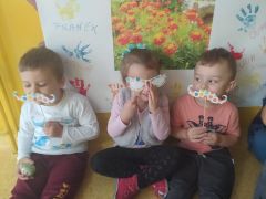 większy obrazek nr 14