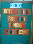 większy obrazek nr 8