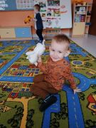 większy obrazek nr 19