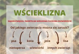Przypadek wścieklizny na terenie miasta Białystok