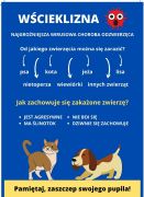 Przypadek wścieklizny na terenie miasta Białystok